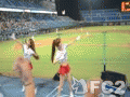 動画:16/07/26桃園國際棒球場Lamigo林泓育チア応援